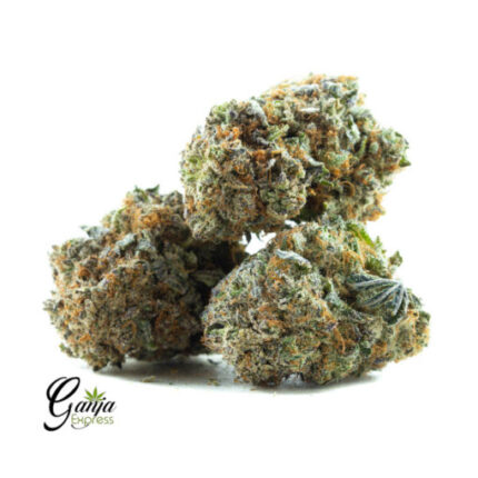 $92 Oz – Meat The Cookie