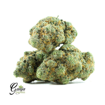 $89 Oz – Girl Scout Cookies