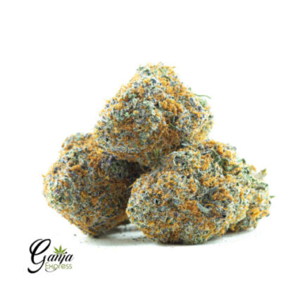 $86 Oz – Mimosa Purple Pheno