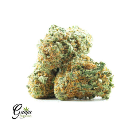 $61 Oz – Master Skunk