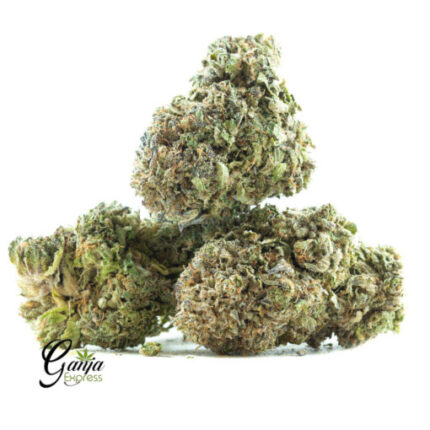 $61 Oz – White King Kush