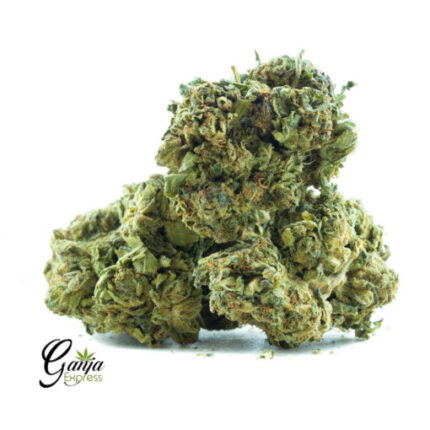 $45 Oz – Laughing Buddha