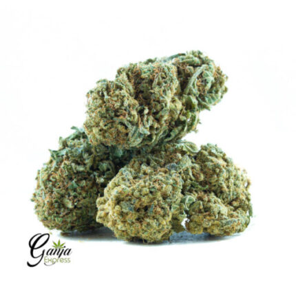 $42 Oz – Jungle Juice