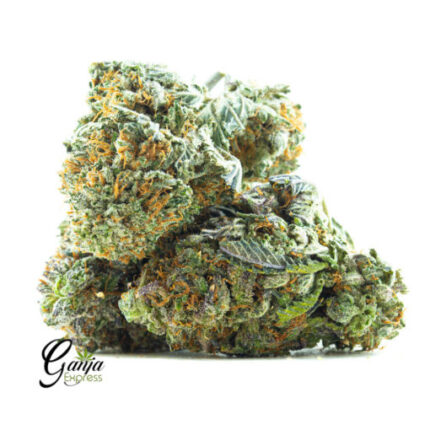 $74 Oz – Master Kush