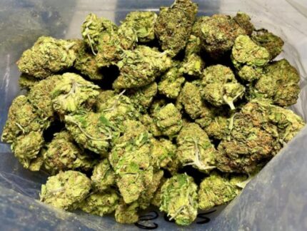 Budget $67 Oz -GRiZ Kush