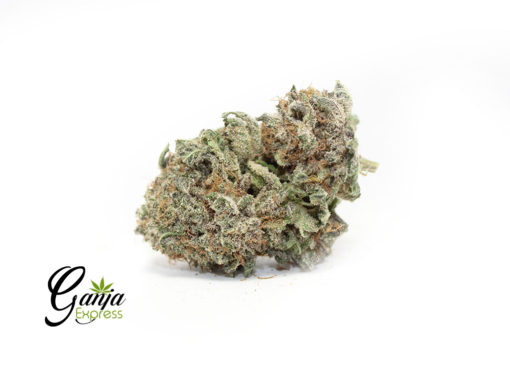 gods-green-crack-510x368-1.jpg