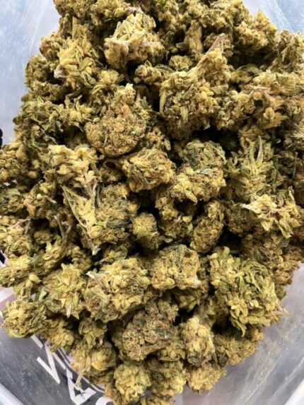 $61 Oz – Golden Ticket