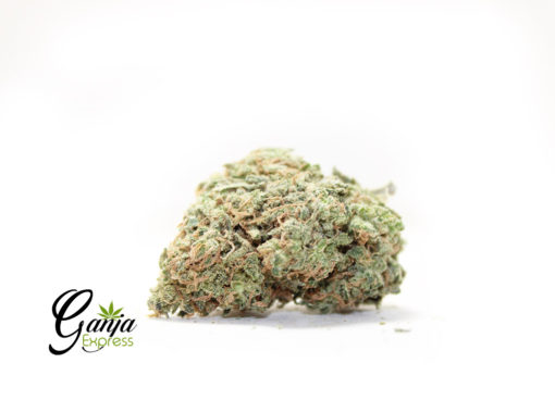 grape-fruit-kush-1-510x368-1.jpg