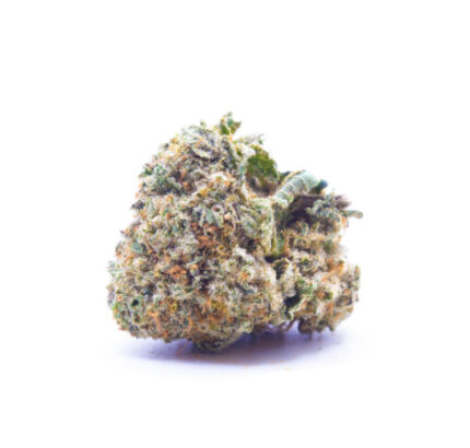 Budget $59 Oz – Green Dragon