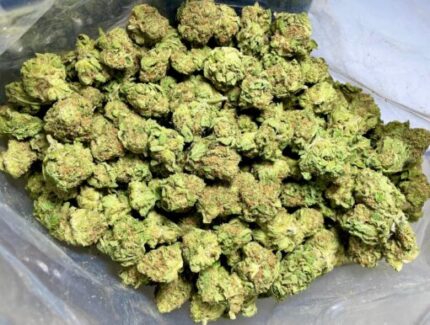 Budget $58 Oz – Headband