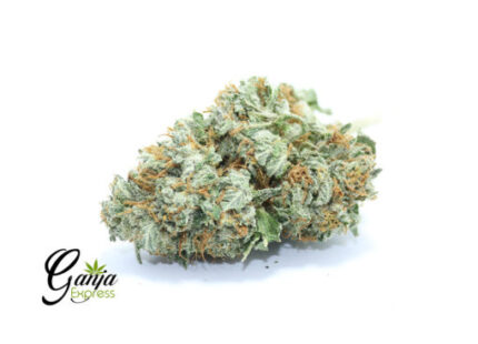 $149 Oz – House Indica #2