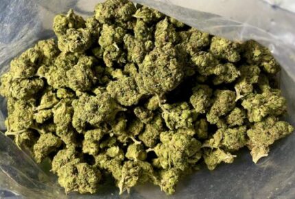 Budget $58 Oz – Jillybean