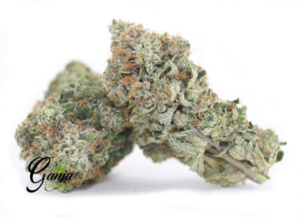 Greenstar Farms OG Larry