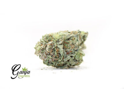 King’s Kush (Bulk)