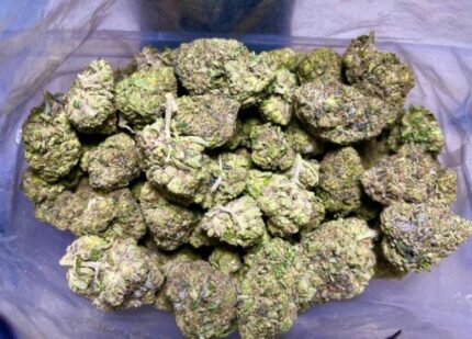 Budget $61 Oz – King’s Kush