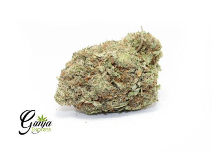 House White Widow (Bulk)