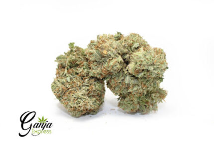 Emily’s LA Confidential (Bulk)