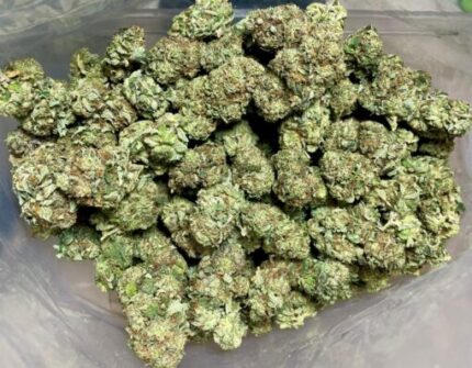 Budget $72 Oz – Legend OG