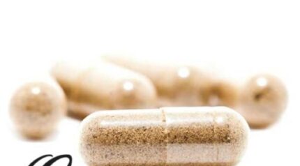 Mota Cambodian Cubensis Capsules 100mg