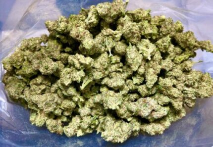 Budget $58 Oz – Nebula