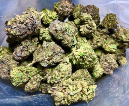 Budget $58 Oz – Night Nurse