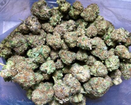 Budget $79 Oz – NY Cheese