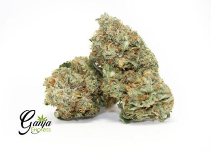 Emily’s OG Kush (Bulk)