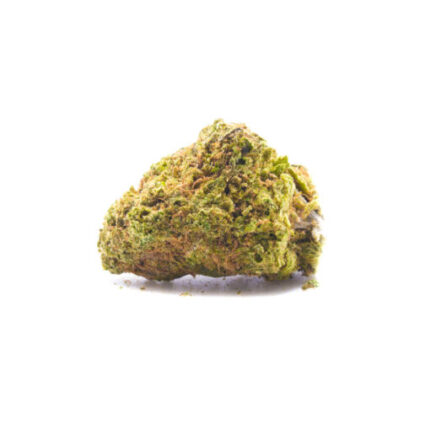 Budget $53 Oz – Panama Red