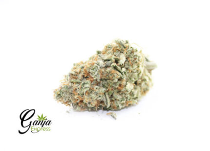 House Alien Kush (Bulk)