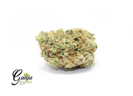 Emily’s Pineapple Kush (Bulk)