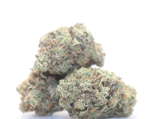 pink-kush-510x510-1.jpg