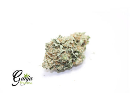 Sugar Cookies (Bulk)