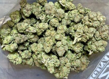 Budget $73 Oz – Sonic Screwdriver