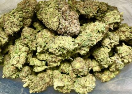 Budget $65 Oz – Sonoma Coma