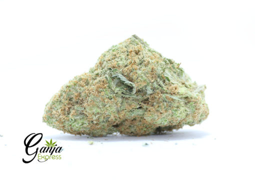 sour-amnesia-2-510x368-1.jpg