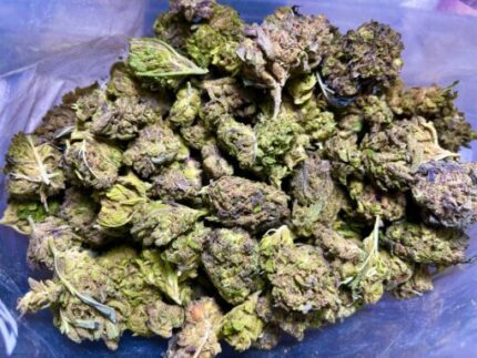 Budget $51 Oz – Sour urkle