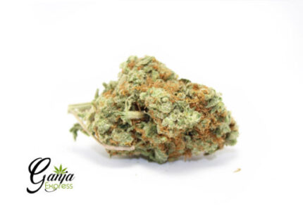 Super Silver Haze (Bulk)