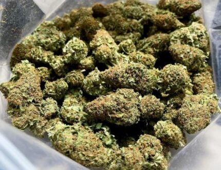 Kootenay Garden’s – Tangilope