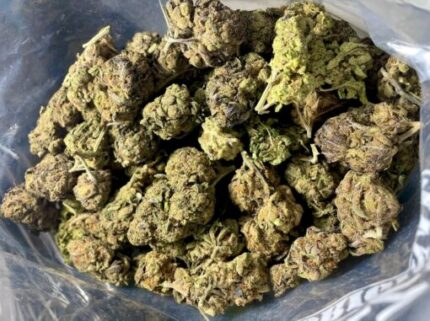 Budget $62 Oz – Unicorn Poop