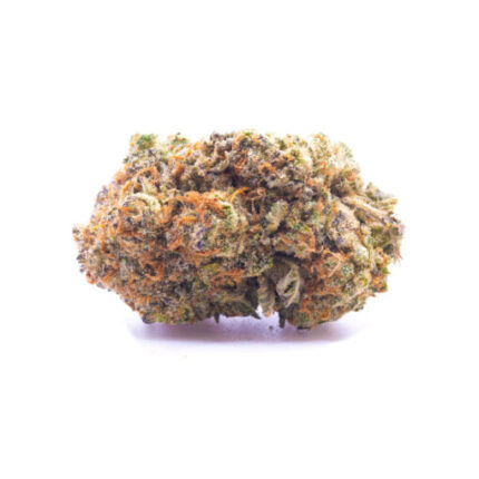 Budget $61 Oz – Violator