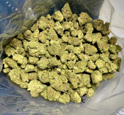 Budget $62 Oz – White 99