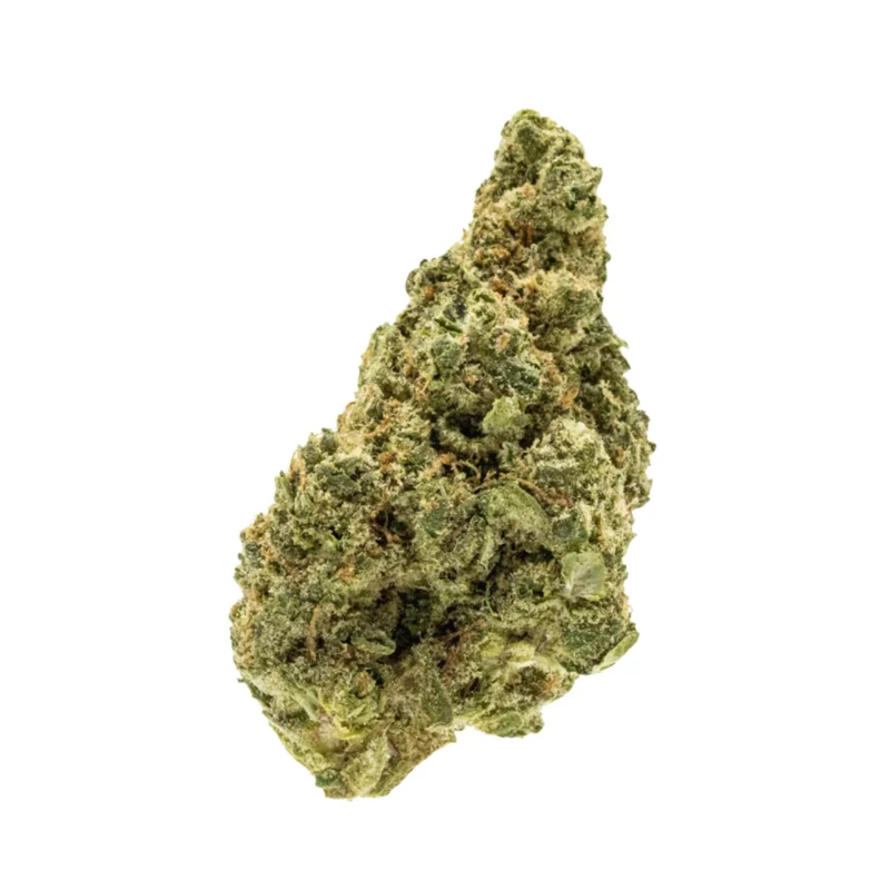 ACQUISTA JACK HERER KUSH