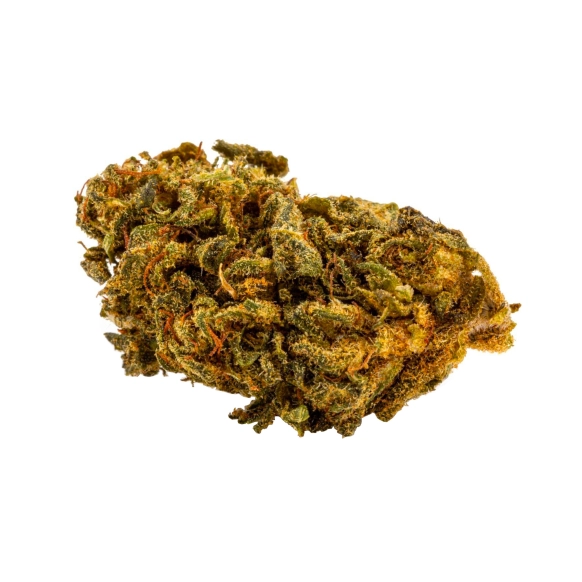 ACQUISTA MASTER KUSH