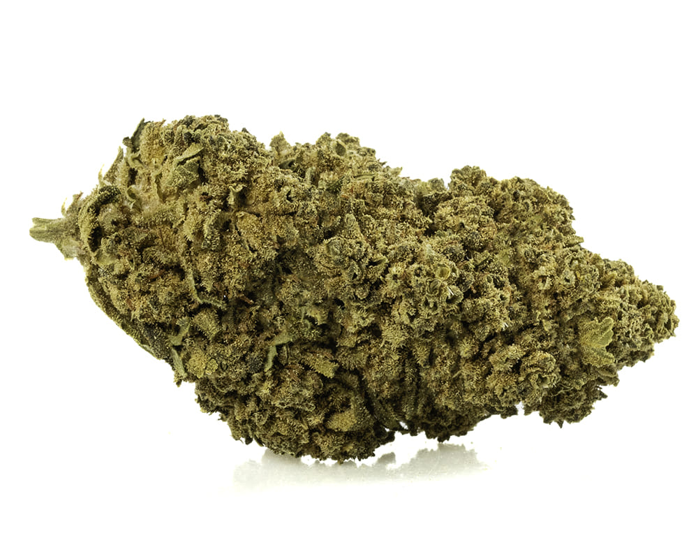 ACQUISTA WHITE WIDOW WEED
